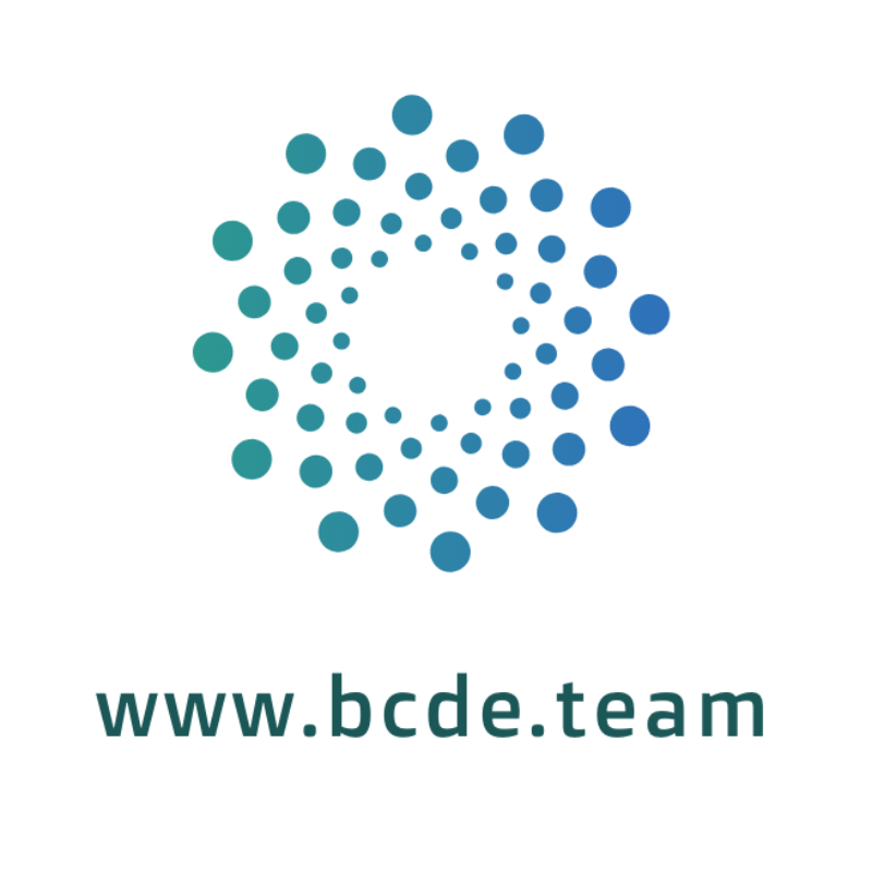 票据管理-BCDE.TEAM