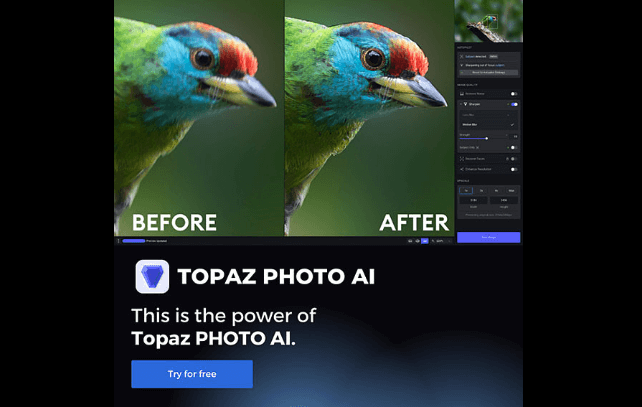 图片[1]-Windows系统 Topaz Photo AI 3.5.3  破解版