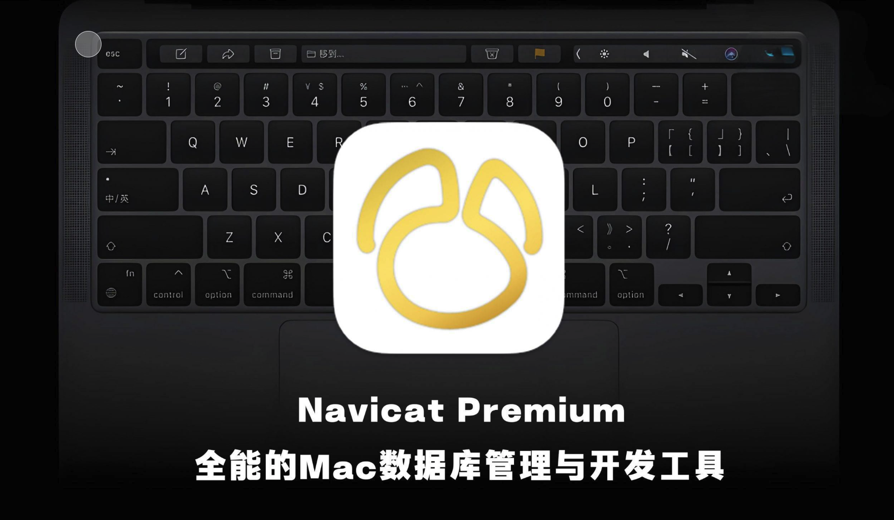 图片[1]-macOS系统 Navicat Premium  17.2.4  破解版